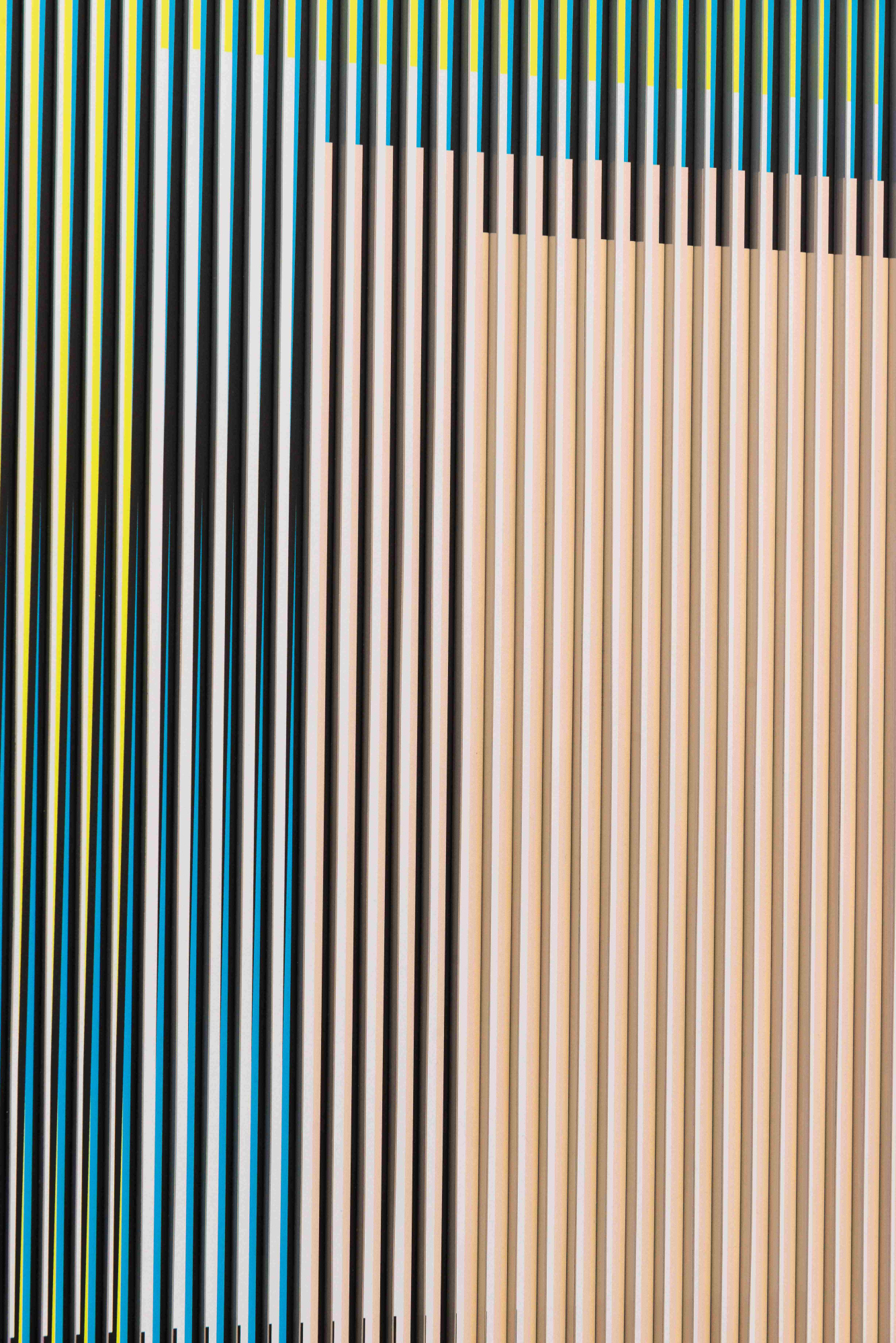 Physichromie Panam 293, 2018