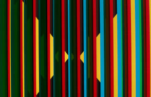Carlos Cruz-Diez